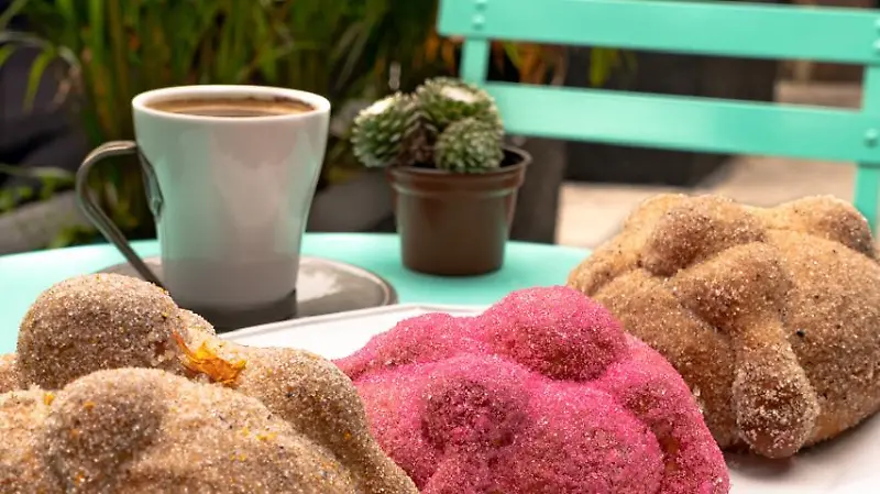 WhatsApp Image 2024 09 26 at 3.54.50 PM